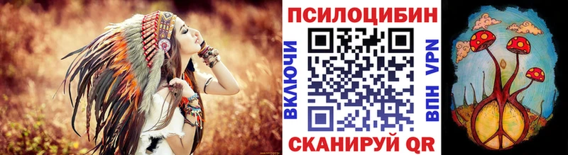 Купить где  Горняк  Псилоцибиновые грибы GOLDEN TEACHER 
